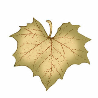 Renewal Membership