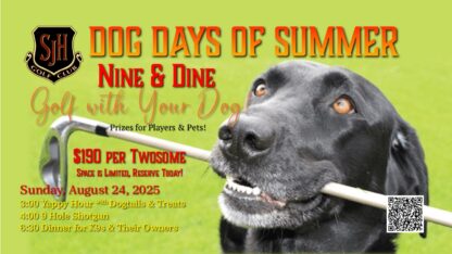 Dog Days of Summer | 9 & Dine - Image 2